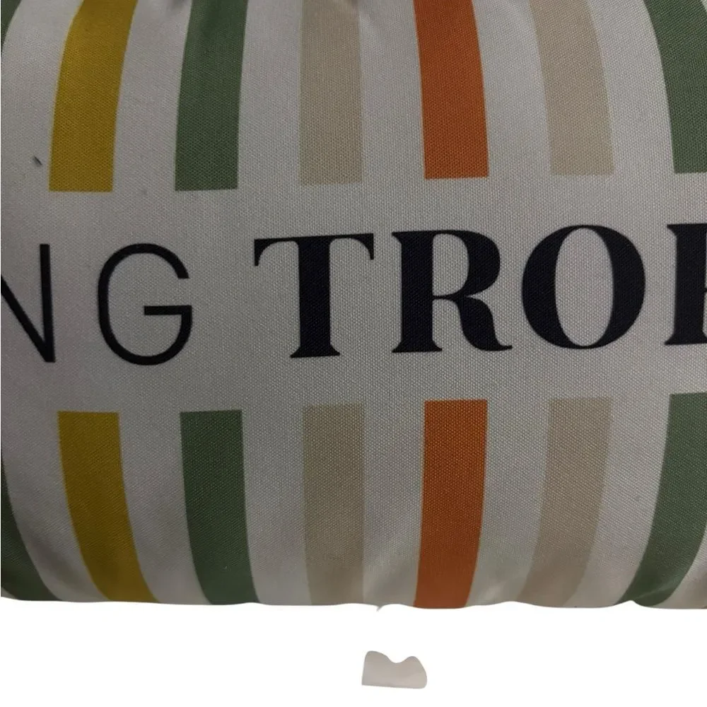 Vibrant Striped Pillow‎ with Tropical Theme